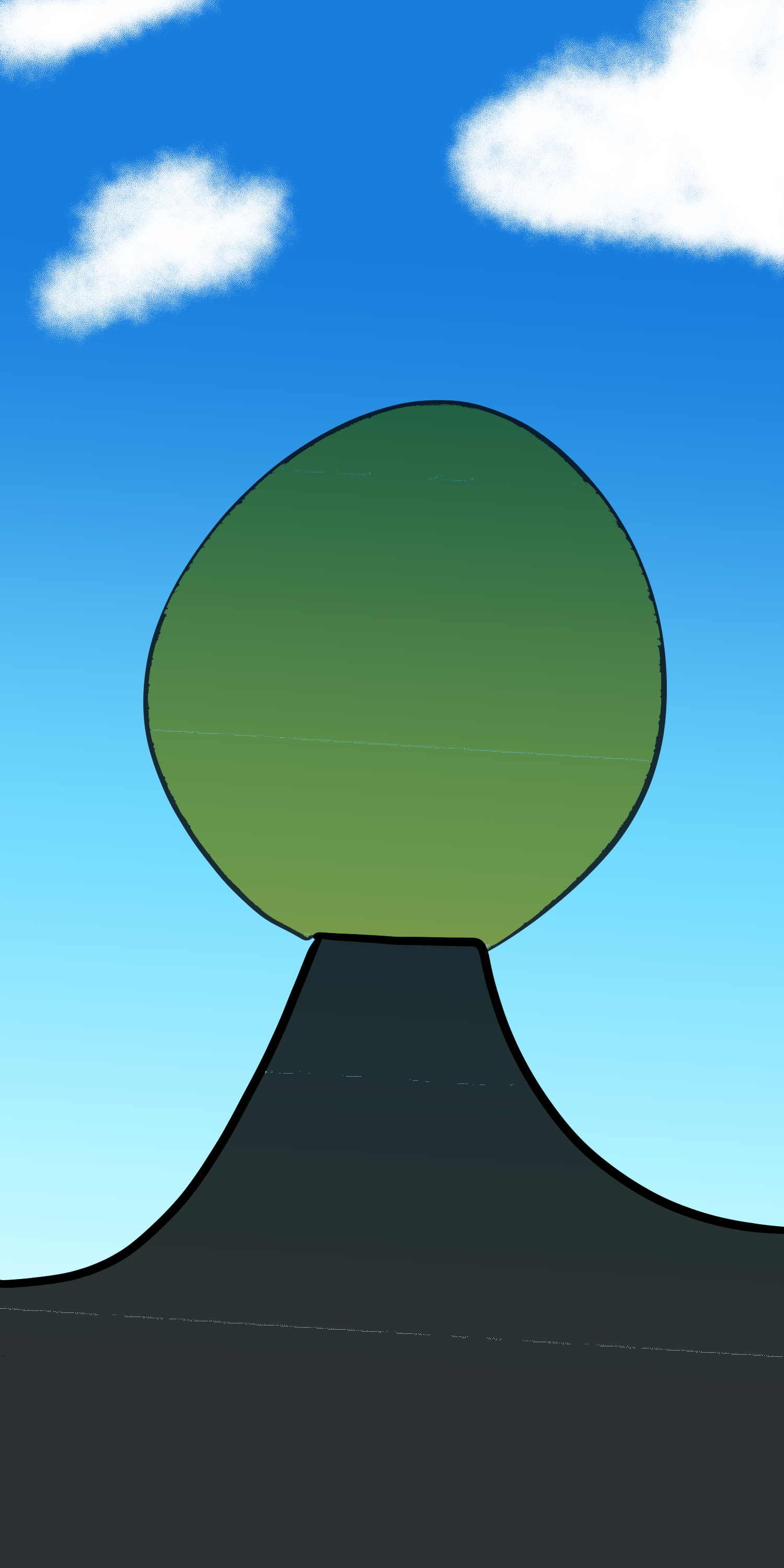802-2.jpg